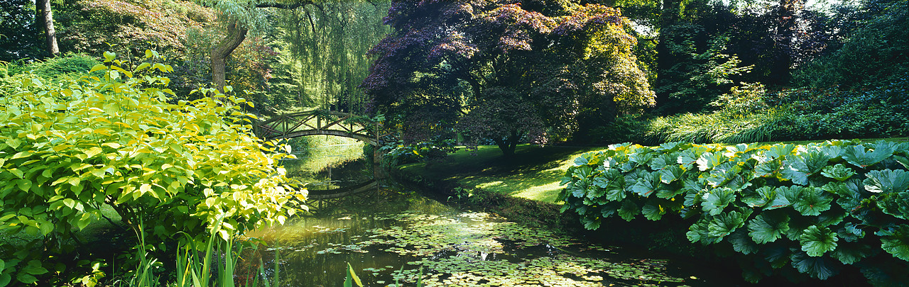 #200484-2 - Cottesbrooke Hall Gardens, Northamptonshire, England