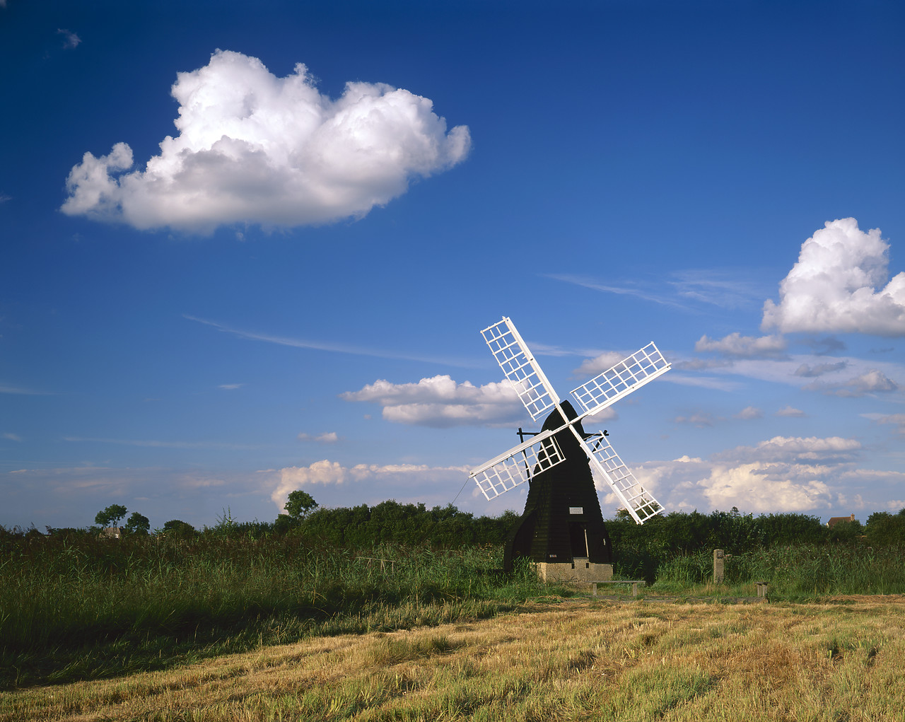 #200535-3 - Wicken Fen Windmill, Wicken, Cambridgeshire, England