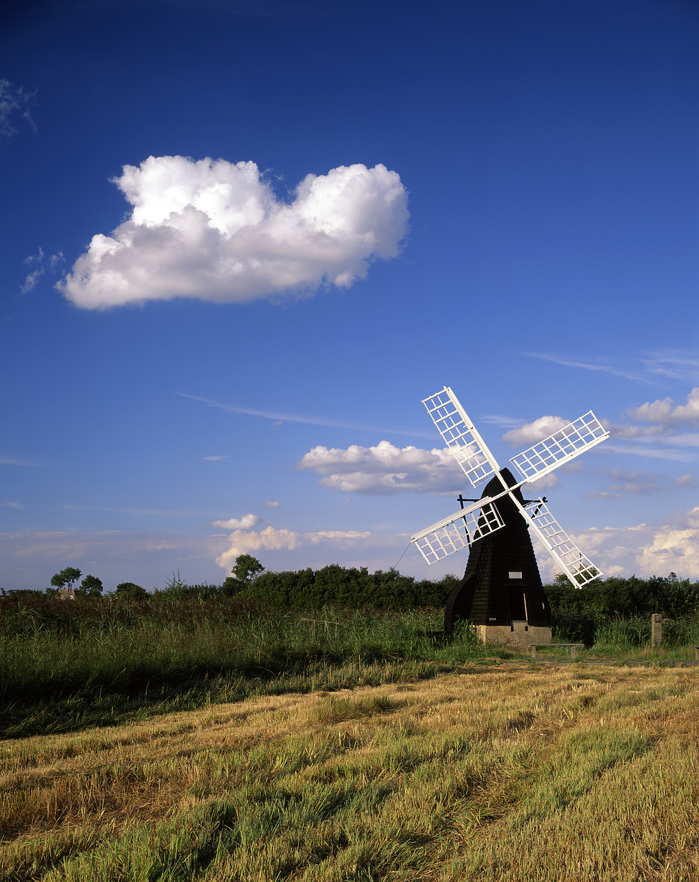 #200535-6 - Wicken Fen Windmill, Wicken, Cambridgeshire, England