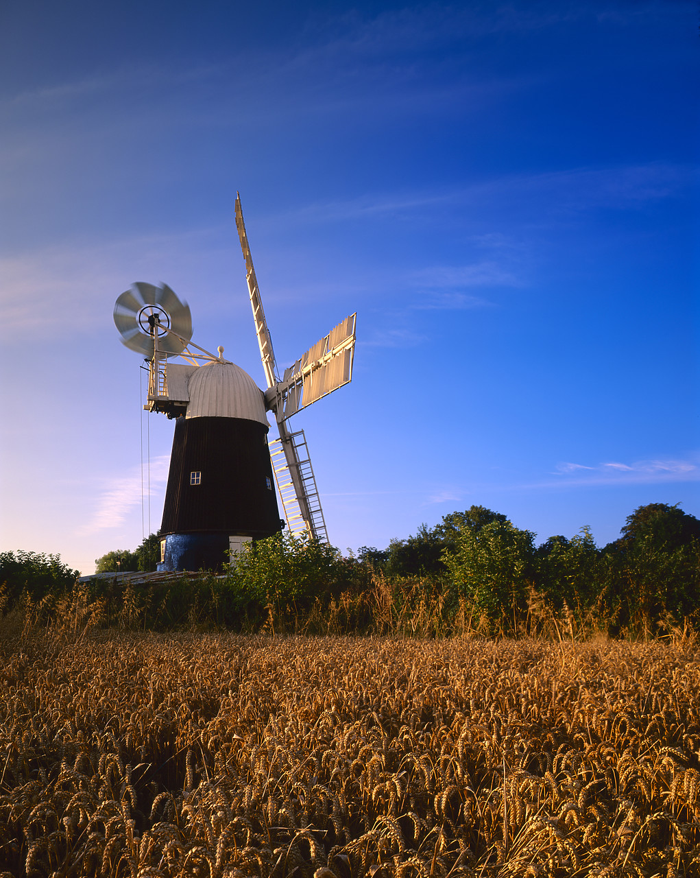 #200536-2 - Wicken Windmill, Wicken, Cambridgeshire, England