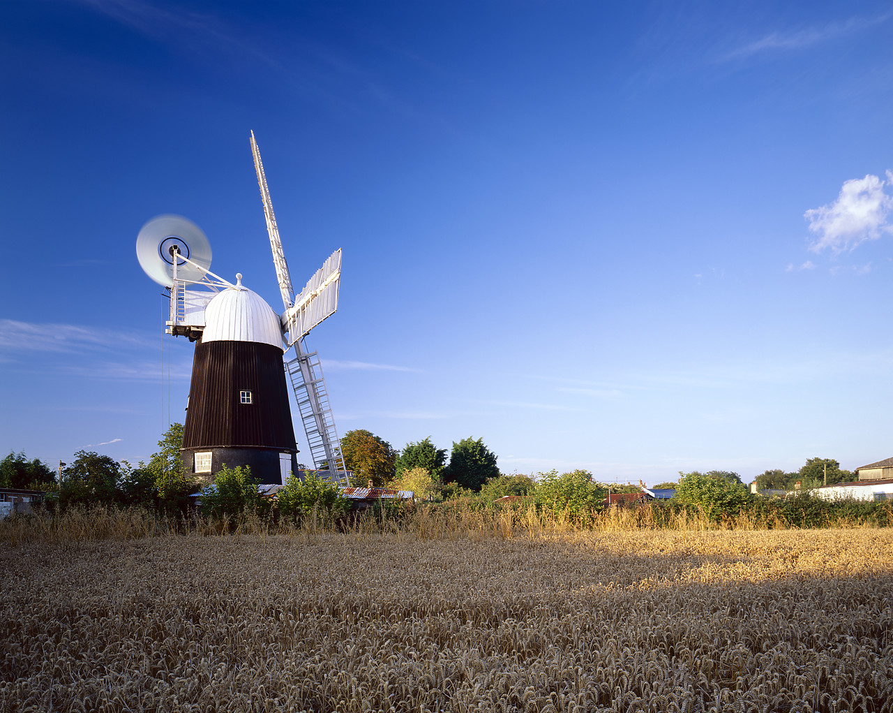 #200536-4 - Wicken Windmill, Wicken, Cambridgeshire, England