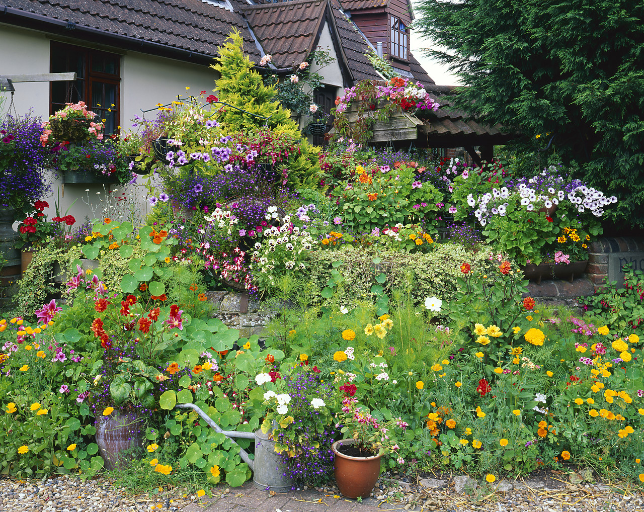 #200540-2 - Cottage Flower Garden, Suffolk, England