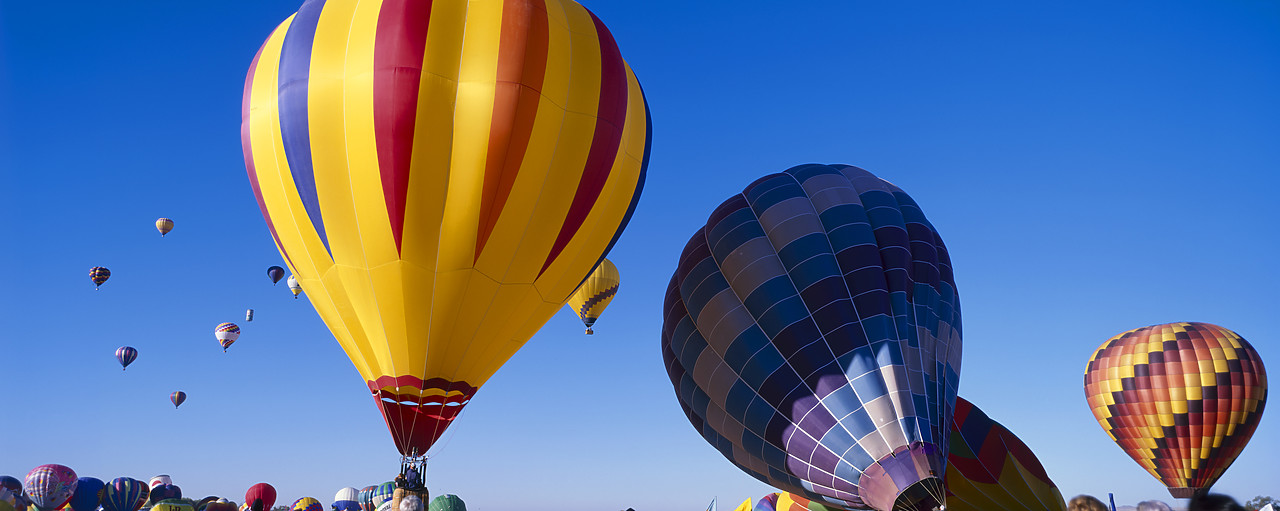 #200612-1 - Hot Air Balloons, Albuquerque, New Mexico, USA