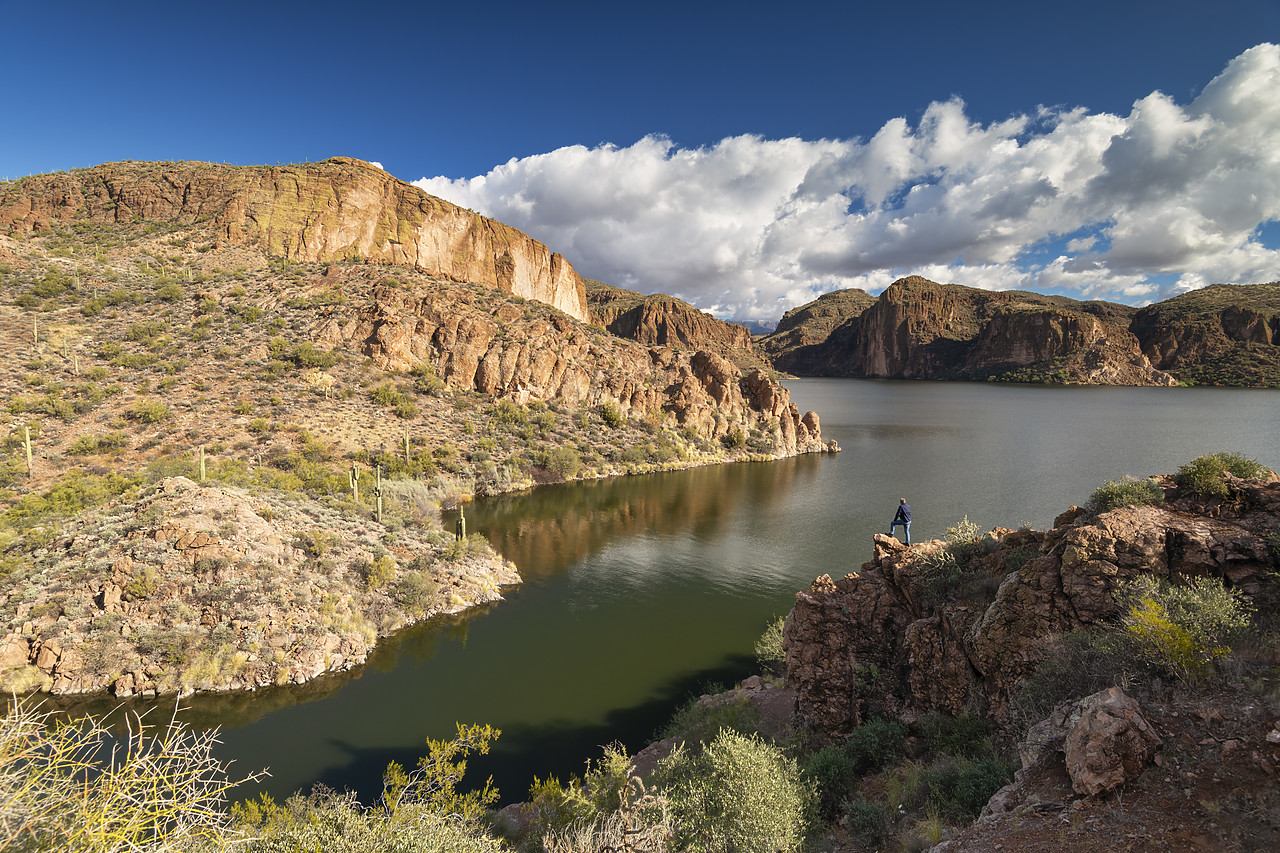 #220005-1 - Man Overlooking Canyon Lake, Tonto National Forest, near Phoenix, Arizona, USA