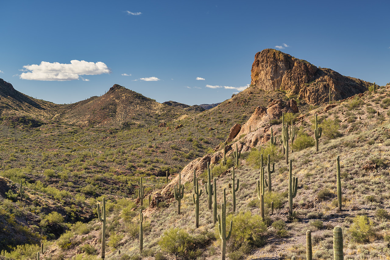 #220006-1 - Apache Gap, near Phoenix, Arizona, USA