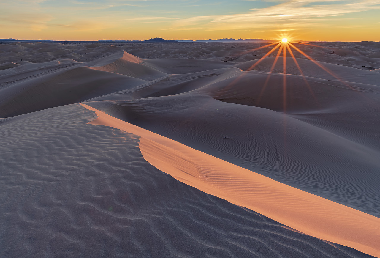 #220009-1 - Sunrise over Imperial Sand Dunes National Recreation Area, California, USA