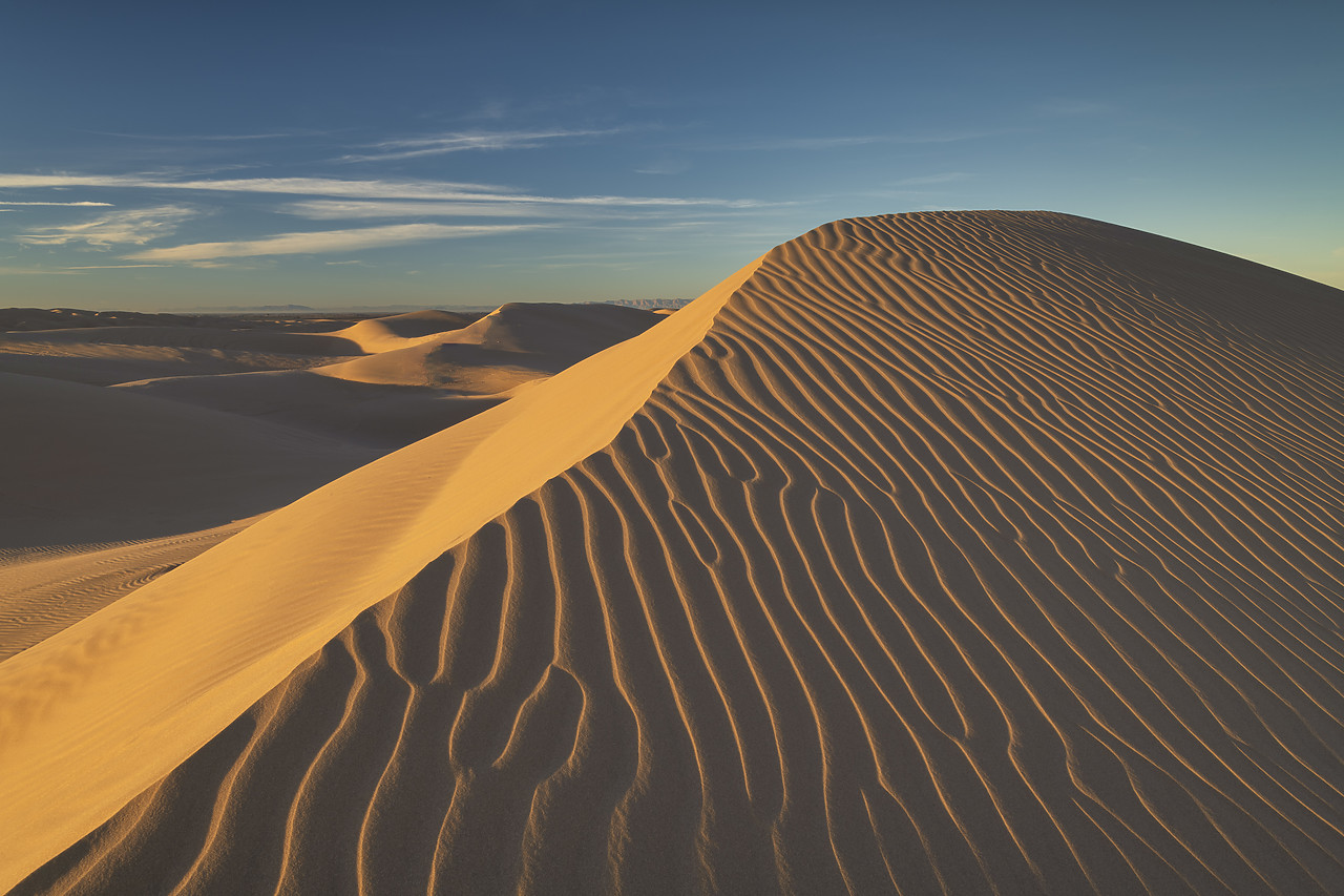 #220010-1 - Imperial Sand Dunes National Recreation Area, California, USA