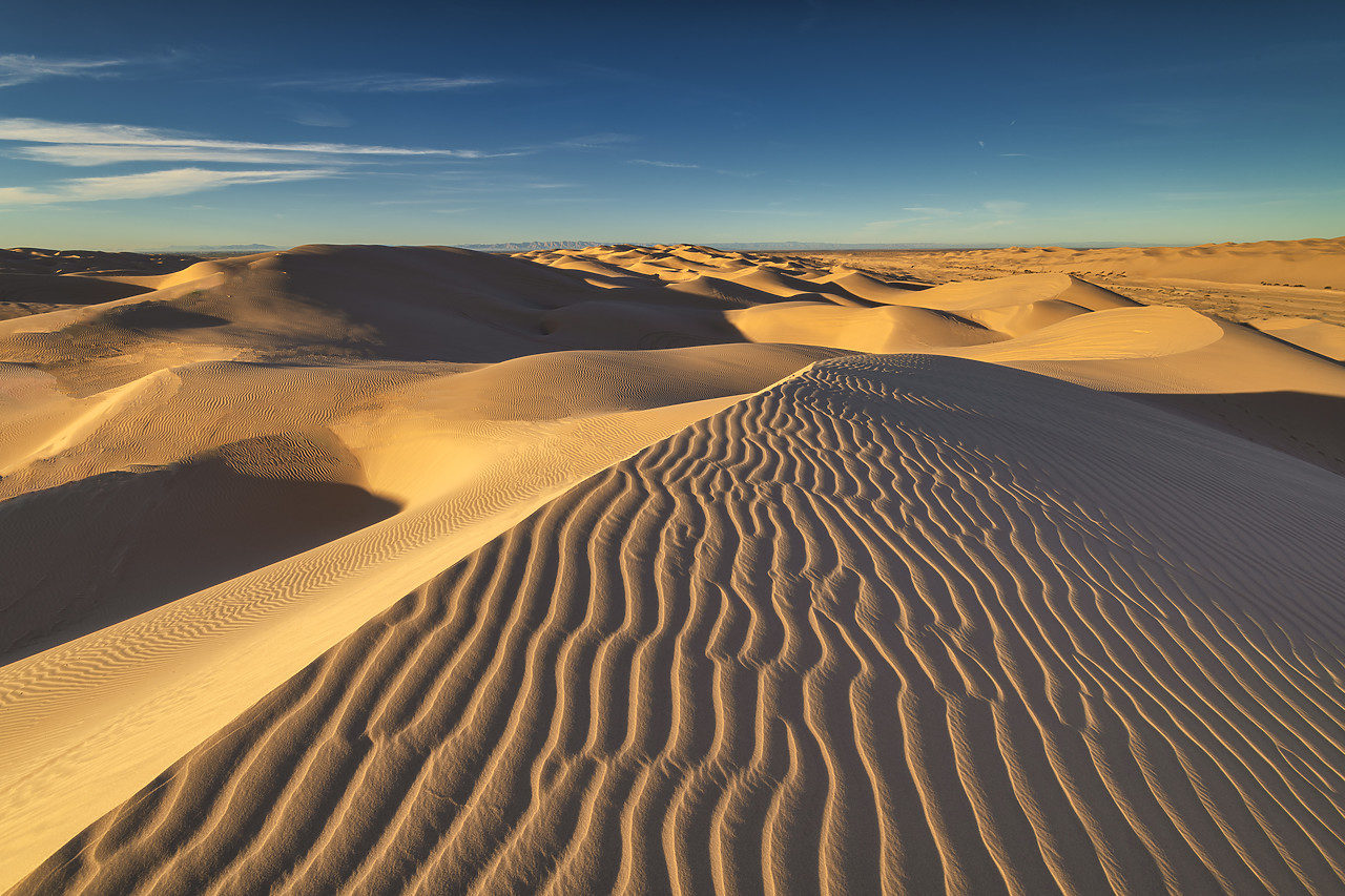 #220012-1 - Imperial Sand Dunes National Recreation Area, California, USA