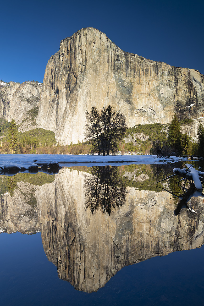 #220020-2 - El Capitan Reflecting in Merced River in Winter, Yosemite National Park, California, USA