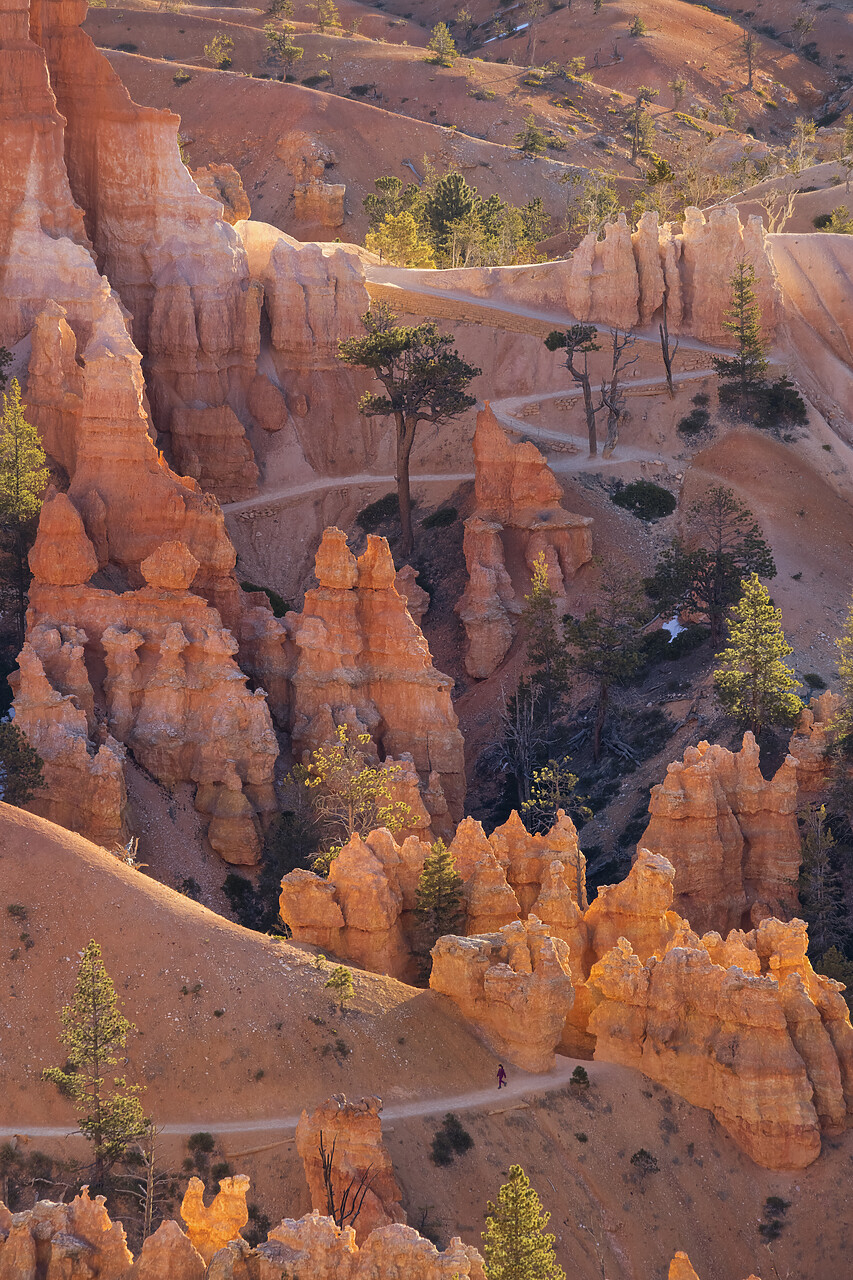 #220109-1 - Hiker on Footpath in Queen's Garden, Bryce Canyon National Park, Utah, USA