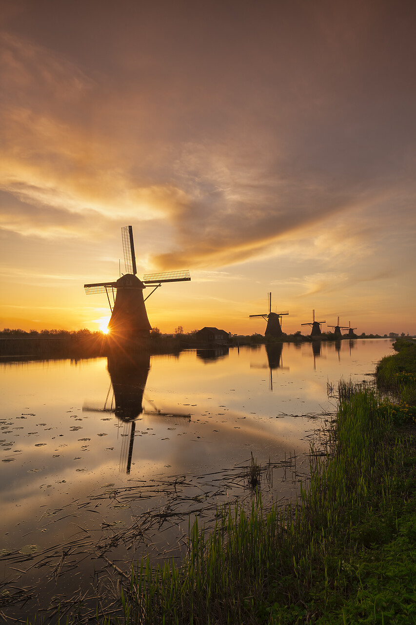 #220187-2 - Windmills of Kinderdijk at Sunrise,Holland, Netherlands