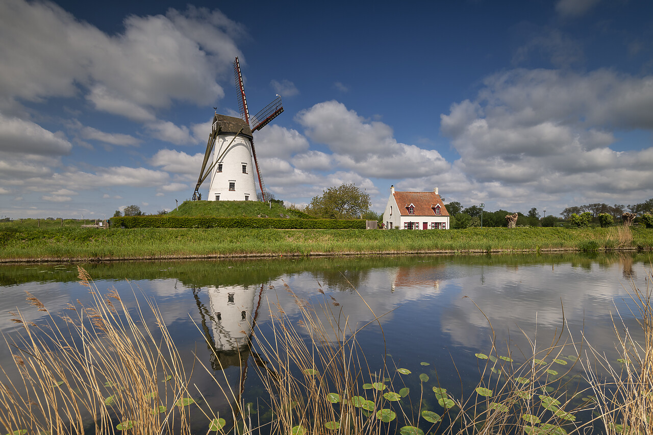 #220243-1 - De Schell Molen Windmill Refecting in Damme Canal, Damme, Belgium