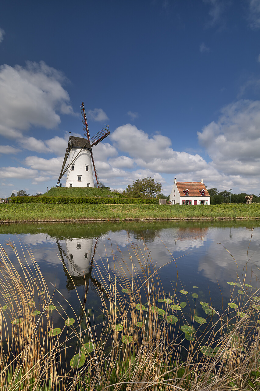 #220243-2 - De Schell Molen Windmill Refecting in Damme Canal, Damme, Belgium
