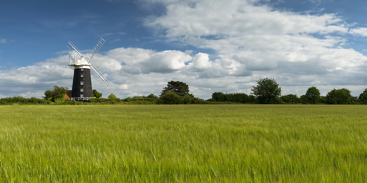 #220327-2 - Burnham Overy Mill in Field of Wheat, Norfolk, England