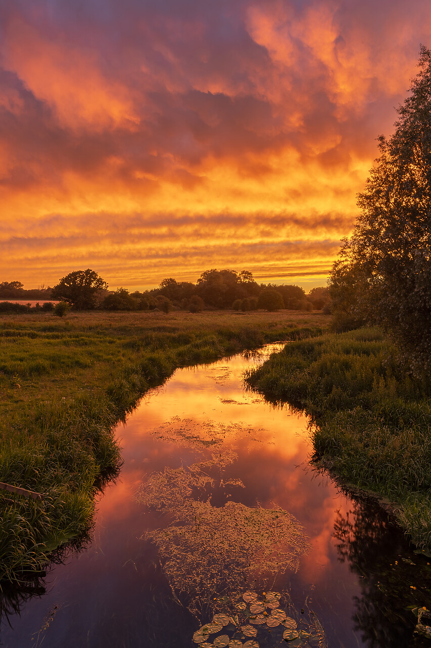 #220333-2 - Sunset Reflecting in River Yare, Marston Marsh, Norwich, England