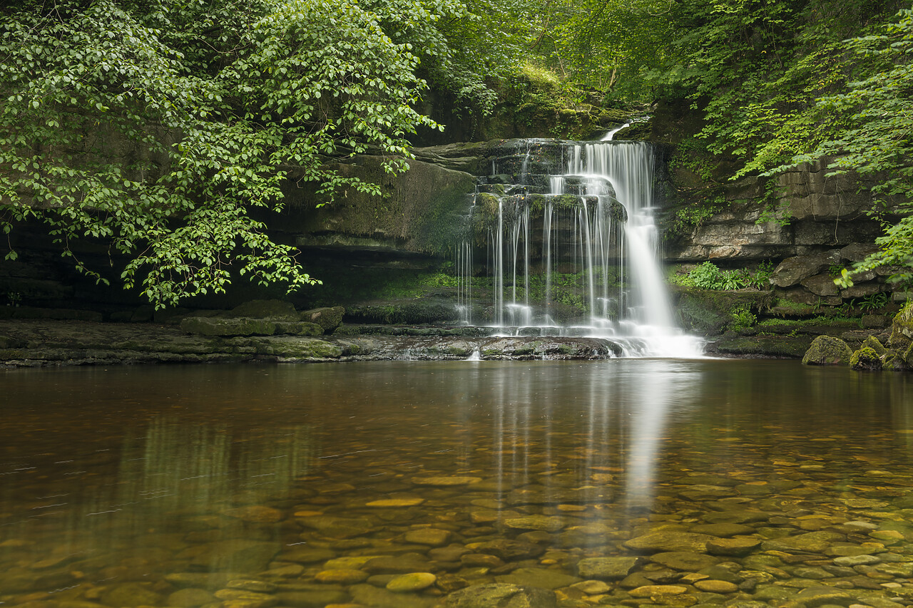 #220456-1 - Caldron Falls, West Burton, Yorkshire Dales, England