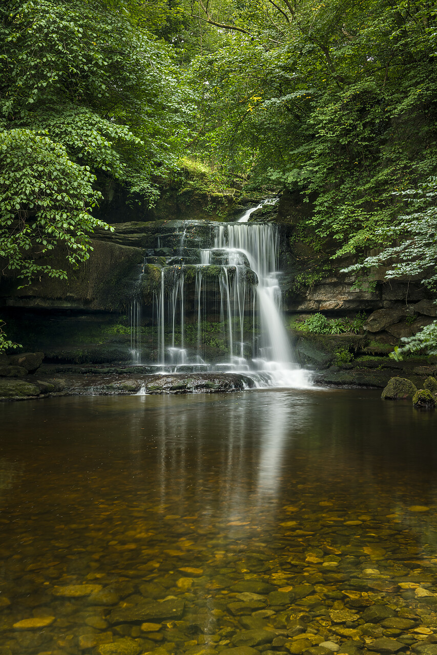 #220456-2 - Caldron Falls, West Burton, Yorkshire Dales, England