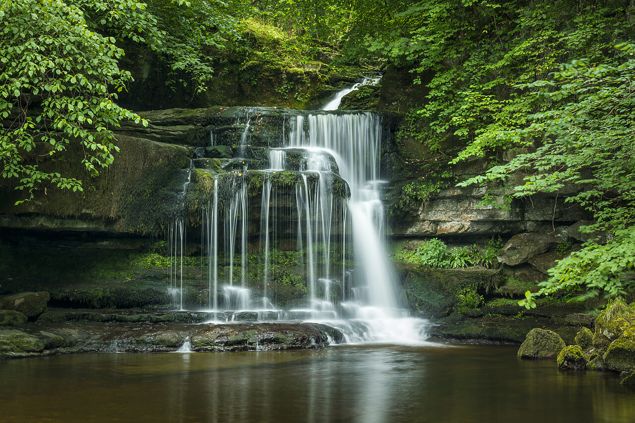 #220457-1 - Caldron Falls, West Burton, Yorkshire Dales, England