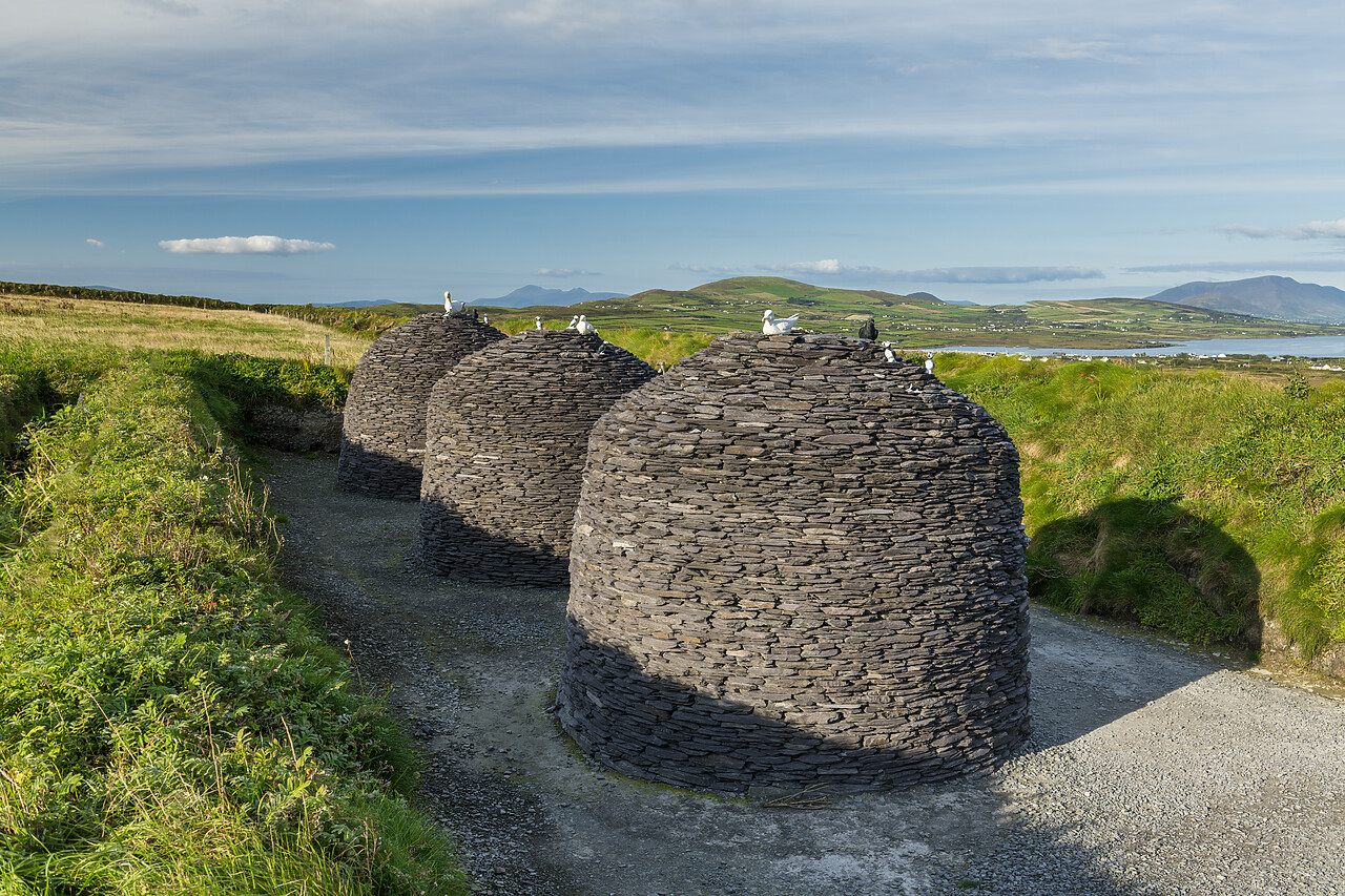 #220561-1 - Beehive Huts, Portmagee, Ring of Kerry, Co. Kerry, Ireland