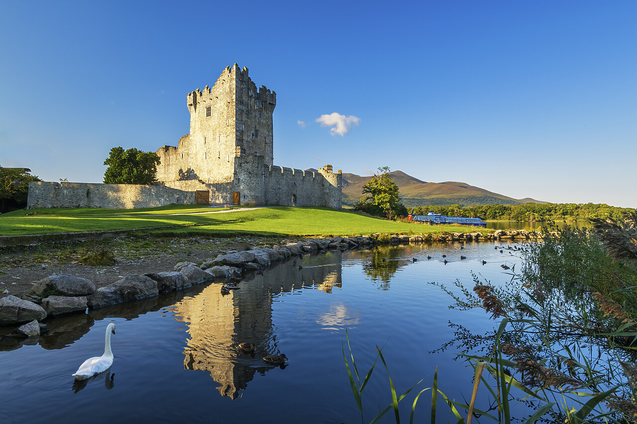 #220575-1 - Ross Castle, Killarney, Co. Kerry, Ireland