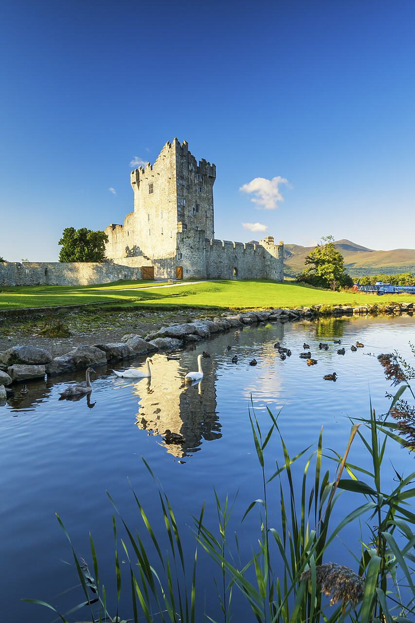 #220575-2 - Ross Castle, Killarney, Co. Kerry, Ireland