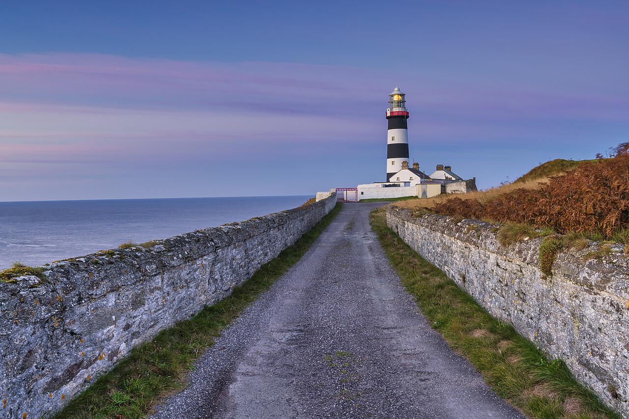 #220589-1 - Road to Old Head of Kinsale Lighthouse, Co. Cork, Ireland