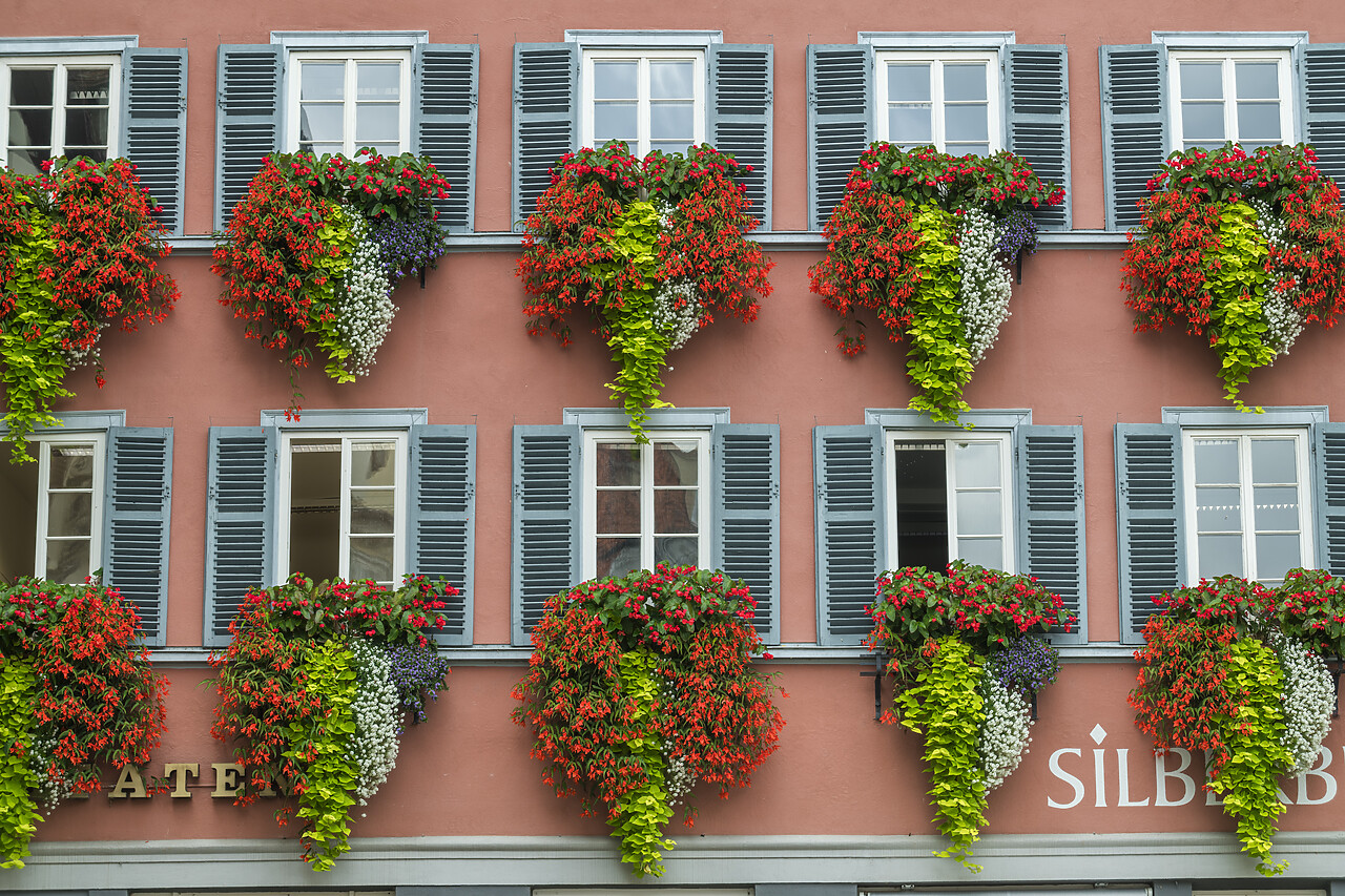 #220614-1 - Window Patterns, Tubingen, Baden-Wurttemberg, Germany