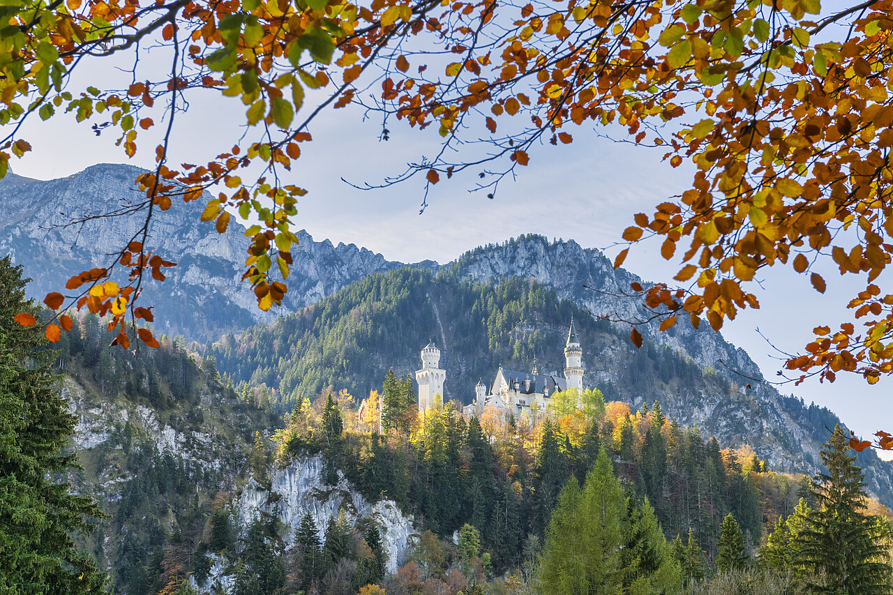 #220631-1 - Neuschwanstein Castle in Autumn, Fussen, Bavaria, Germany