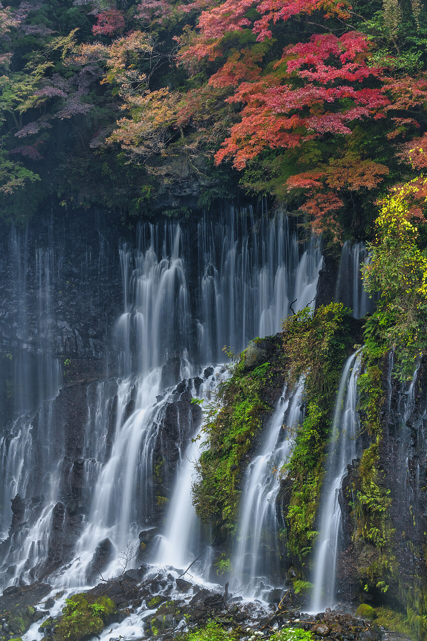 #220727-2 - Shiraito Falls in Autumn, Fujinomiya, Shizuoka Prefecture, Japan