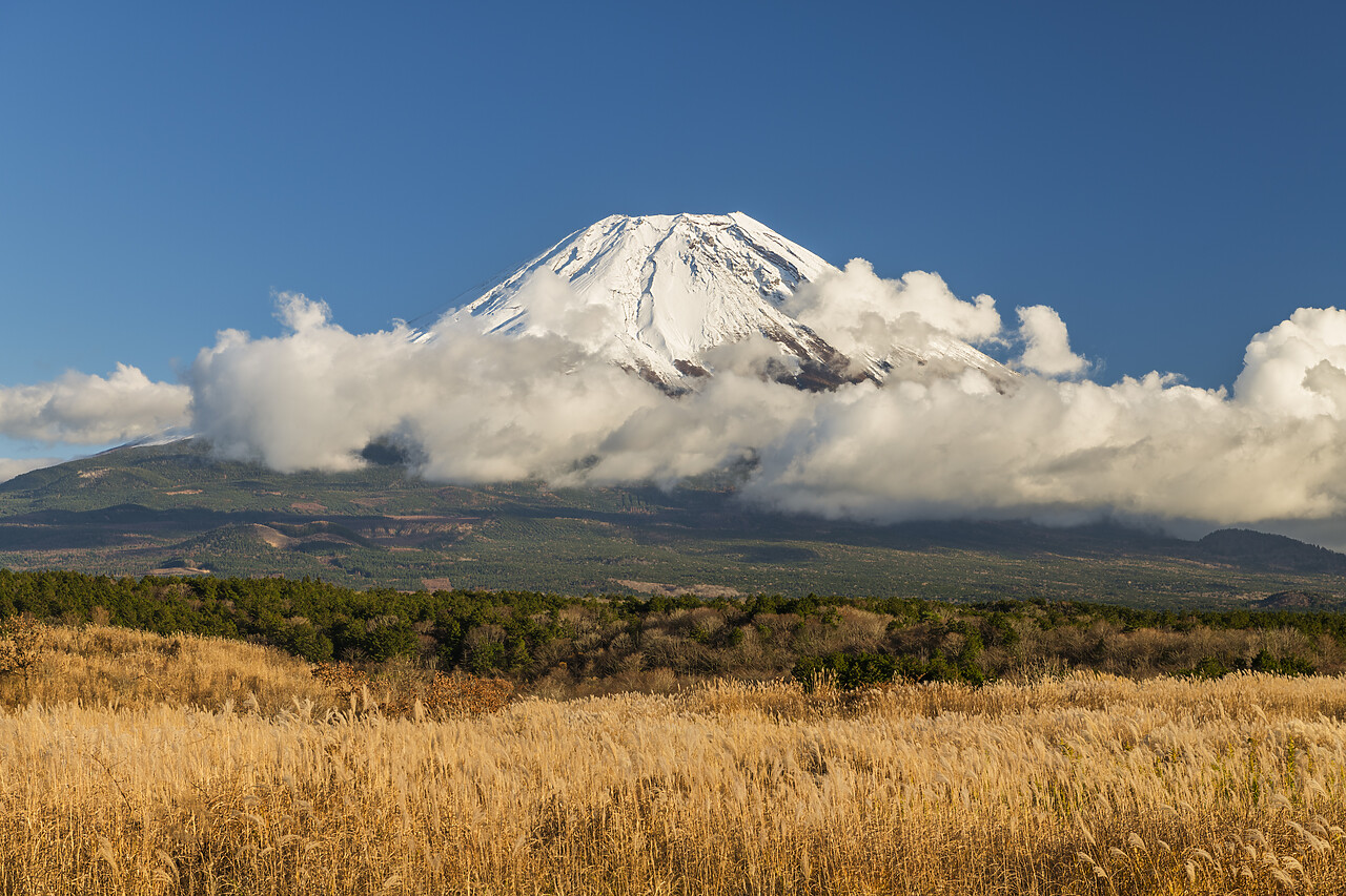 #220732-1 - Mt. Fuji, Fujinomiya, Shizouka, Honshu, Japan