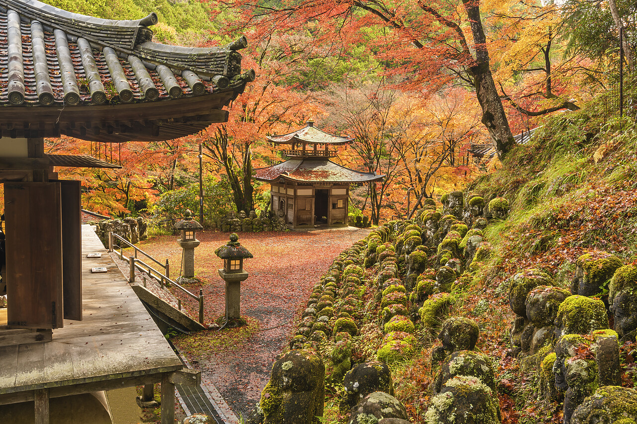 #220745-1 - Stone statues at Otagi Nenbutsu ji Temple in Autumn, Arashiyama Sagano area, Kyoto, Japan