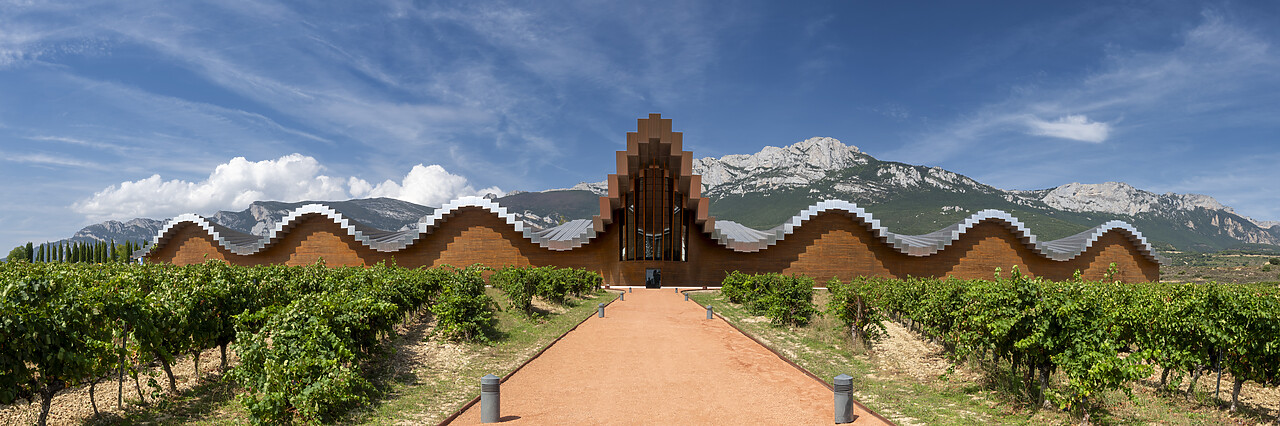#230297-1 - Bodegas Ysios Vineyard Designed by Santiago Calatrava, Laguardia, Alava, Spain