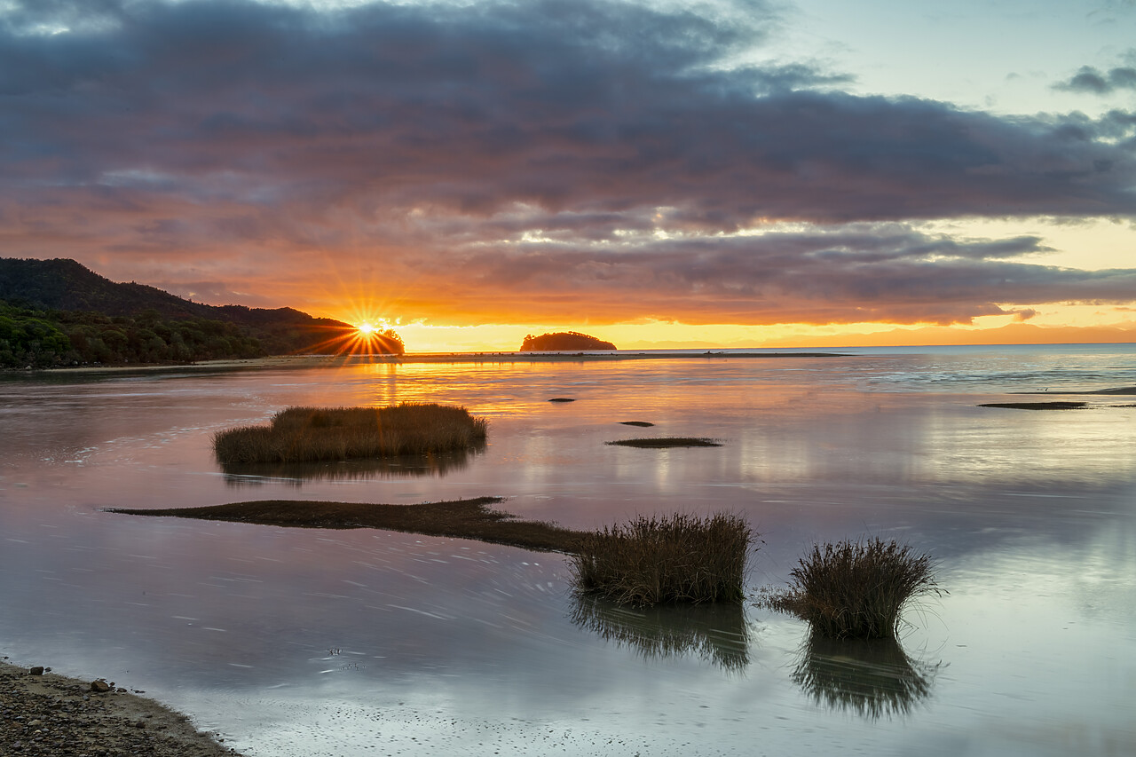 #240087-1 - Sunrise over Sandy Bay at High Tide, Abel Tasman National Park,  South Island, New Zealand