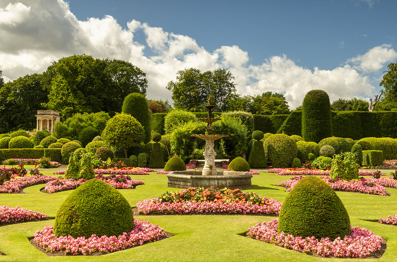 #240214-1 - Brodsworth Hall & Gardens, Brodsworth, Doncaster, South Yorkshire, England