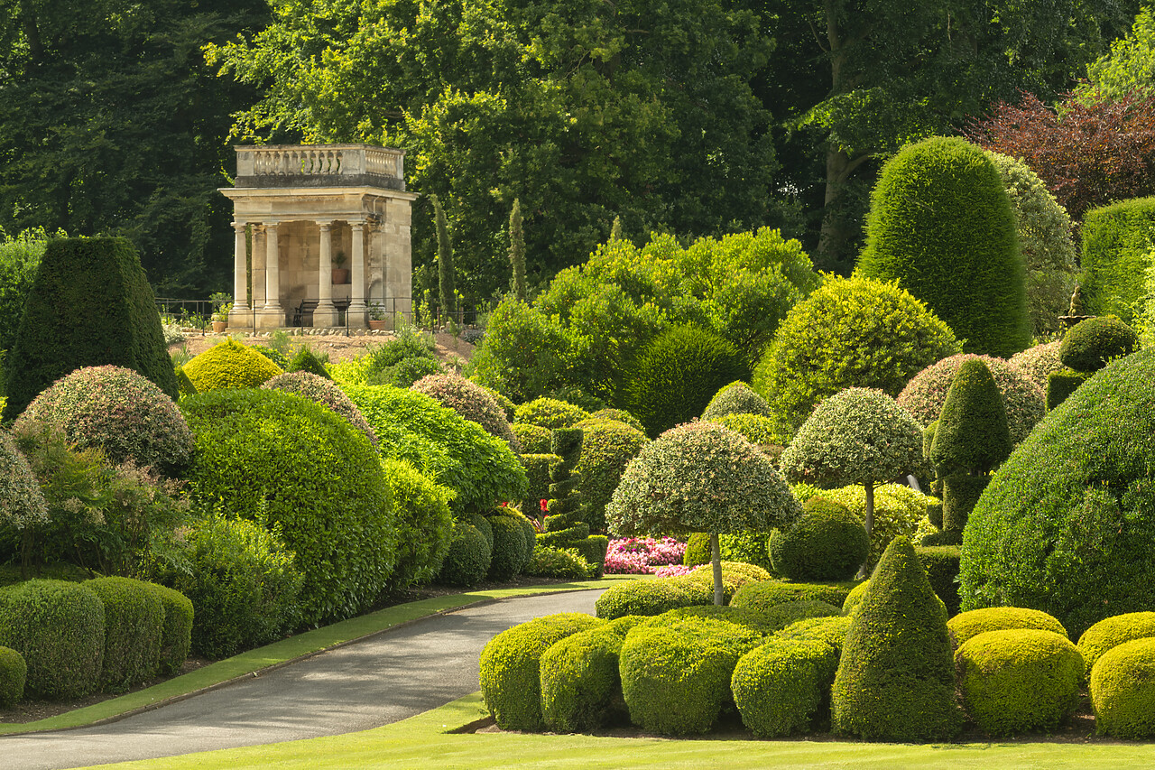 #240216-1 - Brodsworth Hall & Gardens, Brodsworth, Doncaster, South Yorkshire, England