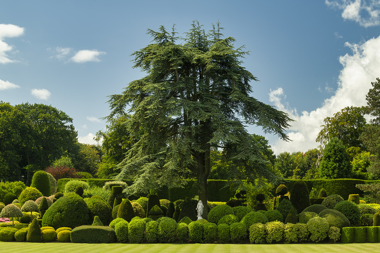 #240217-1 - Brodsworth Hall & Gardens, Brodsworth, Doncaster, South Yorkshire, England