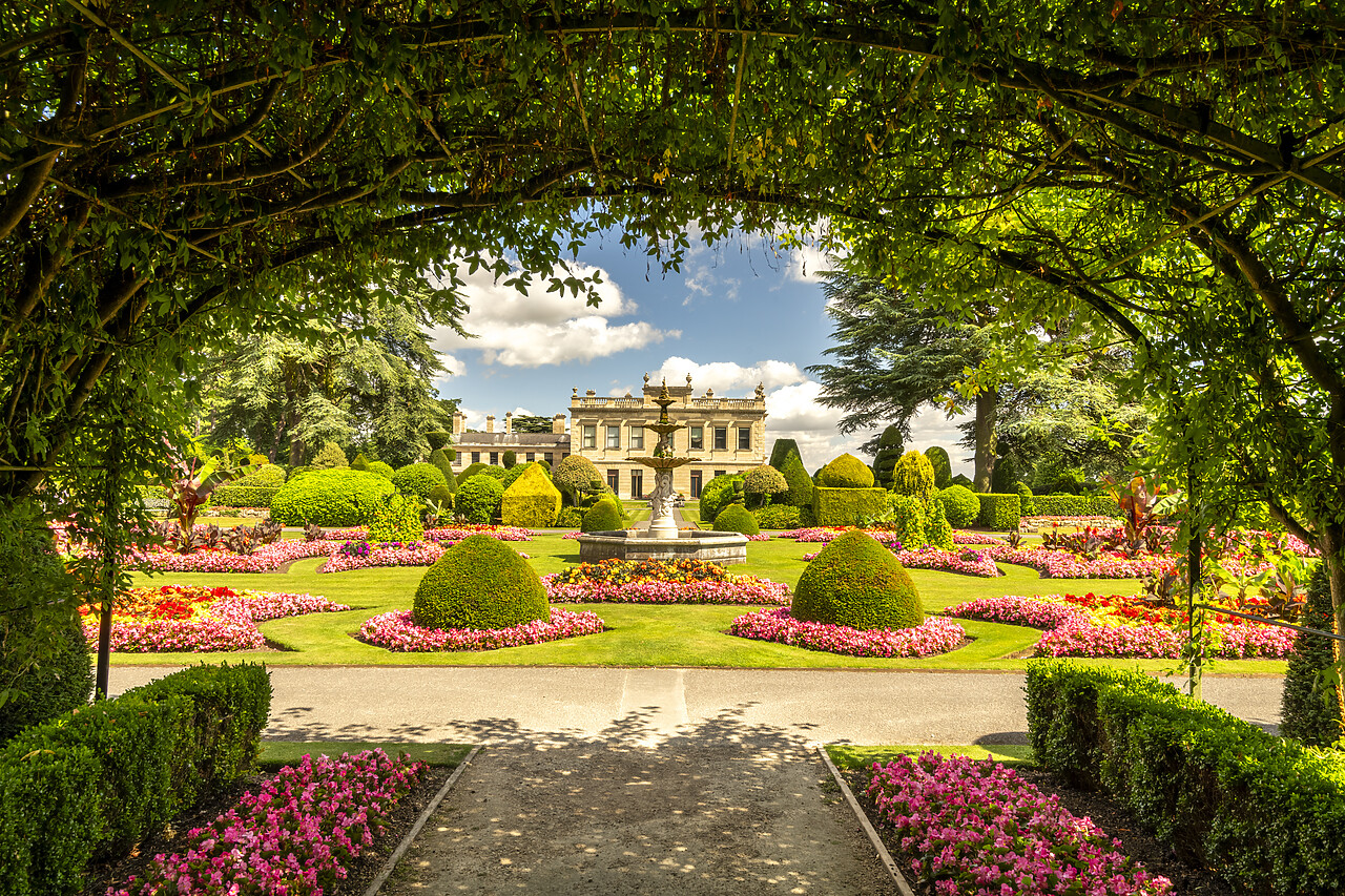 #240219-1 - Brodsworth Hall & Gardens, Brodsworth, Doncaster, South Yorkshire, England