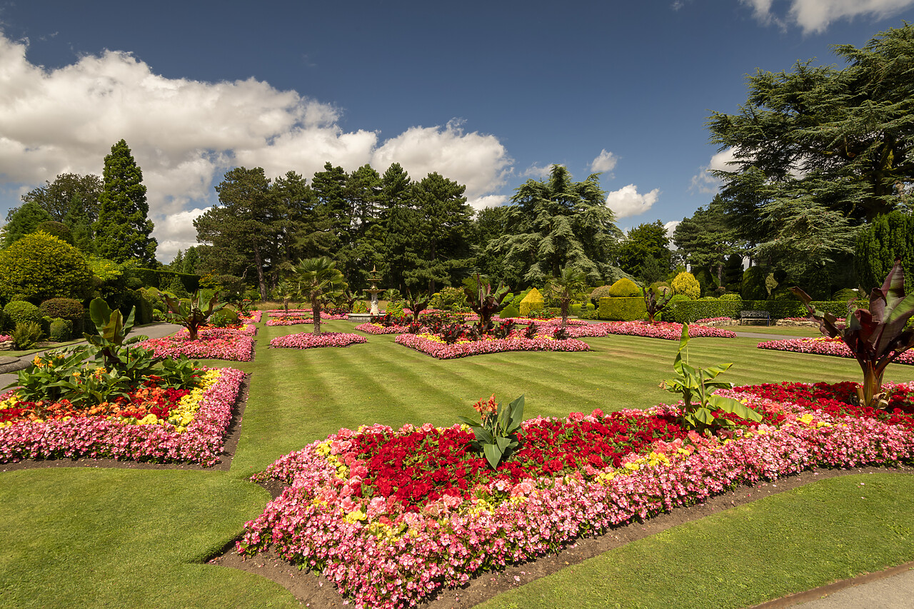 #240221-1 - Brodsworth Hall & Gardens, Brodsworth, Doncaster, South Yorkshire, England