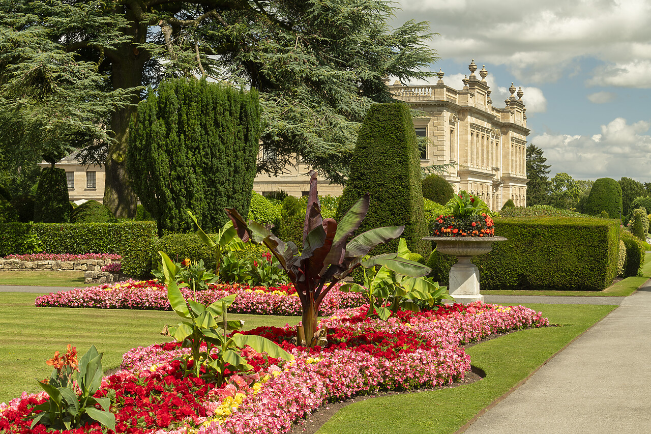 #240222-1 - Brodsworth Hall & Gardens, Brodsworth, Doncaster, South Yorkshire, England