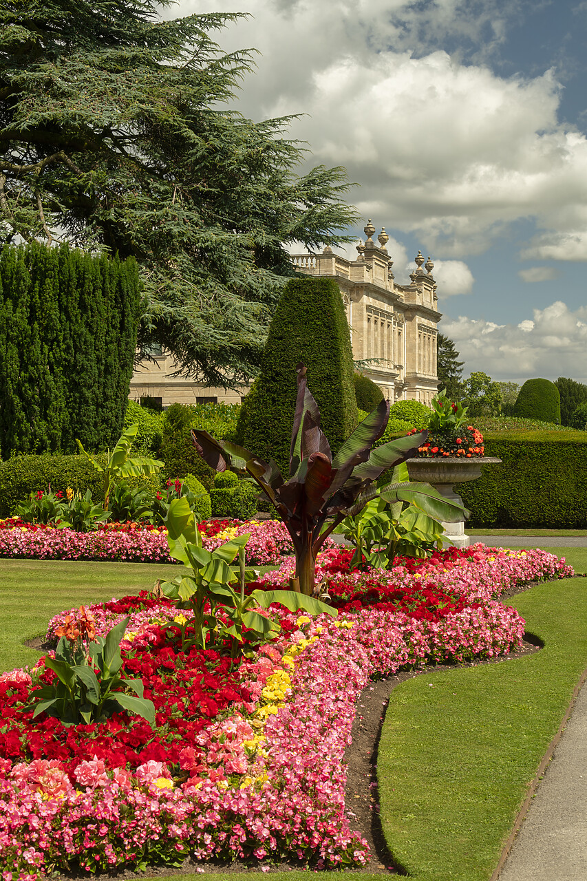 #240222-2 - Brodsworth Hall & Gardens, Brodsworth, Doncaster, South Yorkshire, England