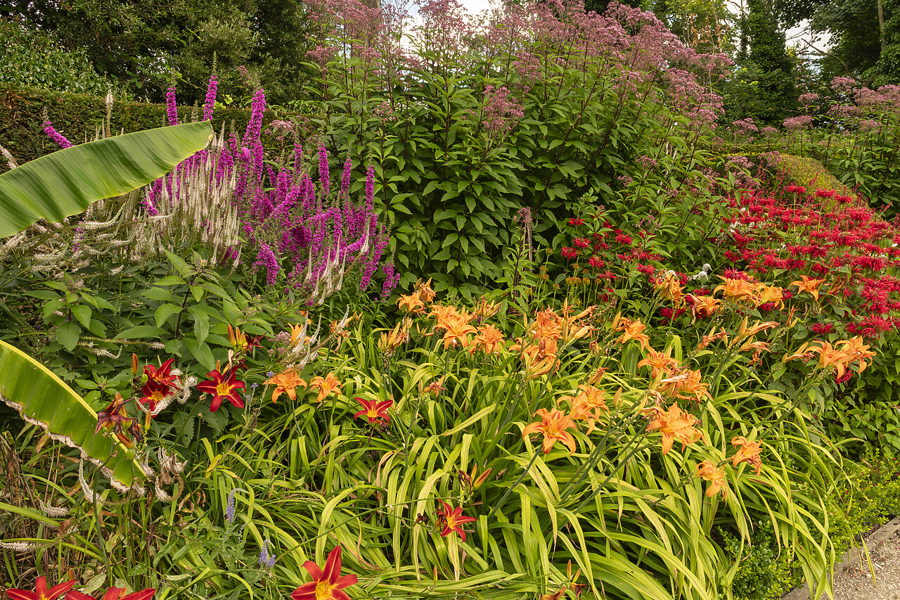 #240227-1 - Brodsworth Hall & Gardens, Brodsworth, Doncaster, South Yorkshire, England