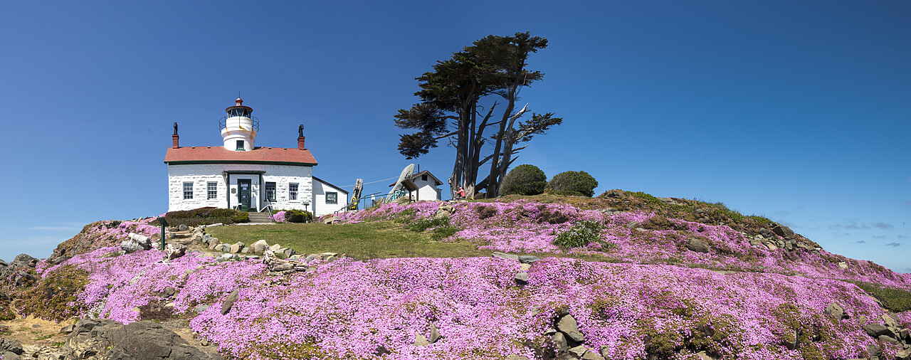 #240237-1 - Battery Point Lighthouse, Crescent City, California, USA