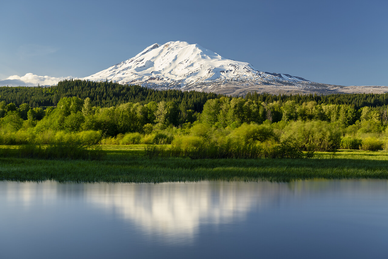 #240259-1 - Mt. Adams Reflections, Near Trout Lake, Washington, USA