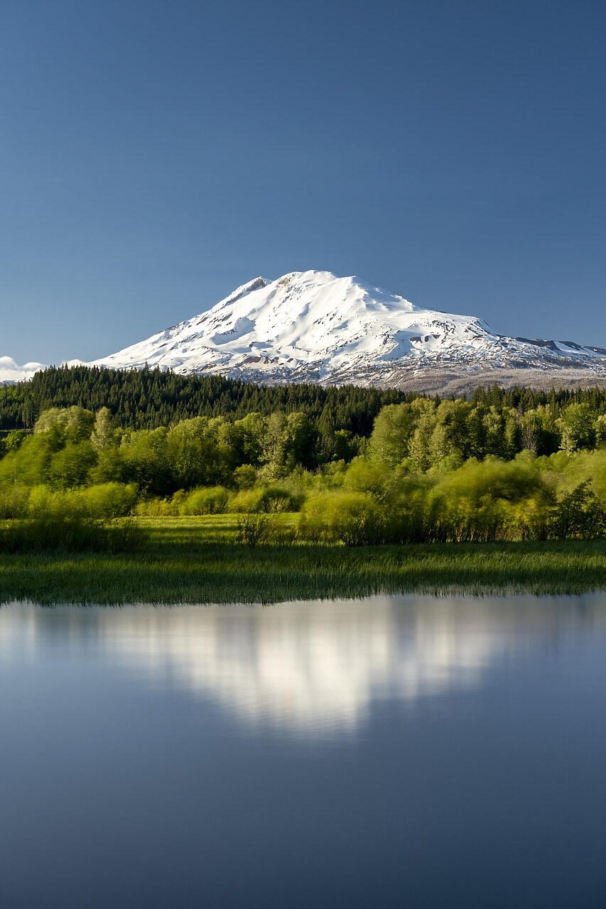 #240259-2 - Mt. Adams Reflections, Near Trout Lake, Washington, USA