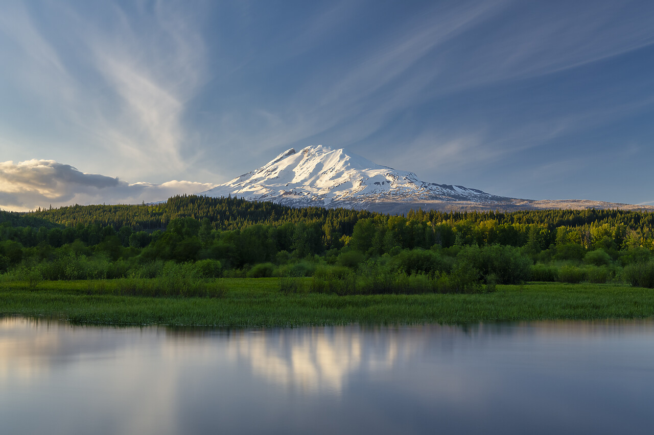 #240260-1 - Mt. Adams Reflections, Near Trout Lake, Washington, USA