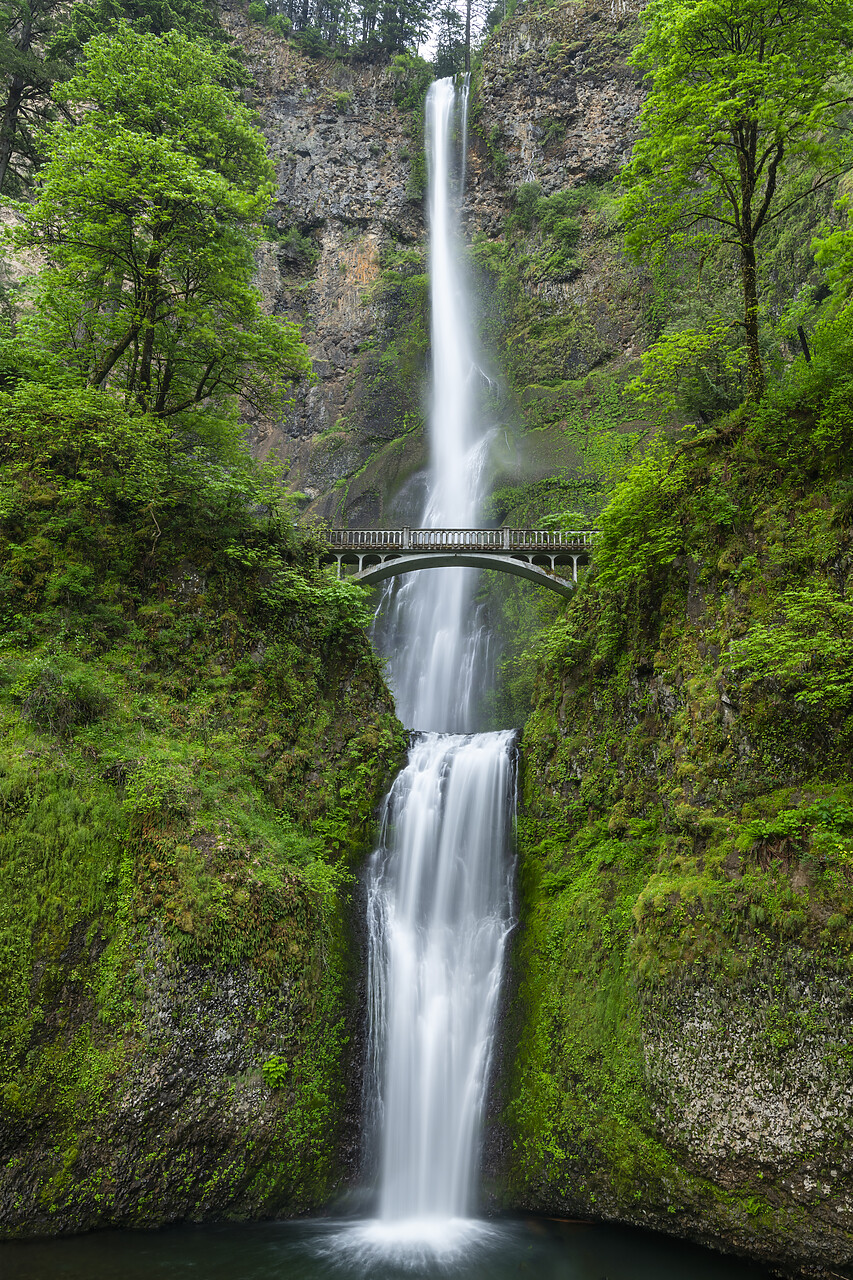 #240264-1 - Multnomah Falls, Columbia River Gorge, Oregon, USA