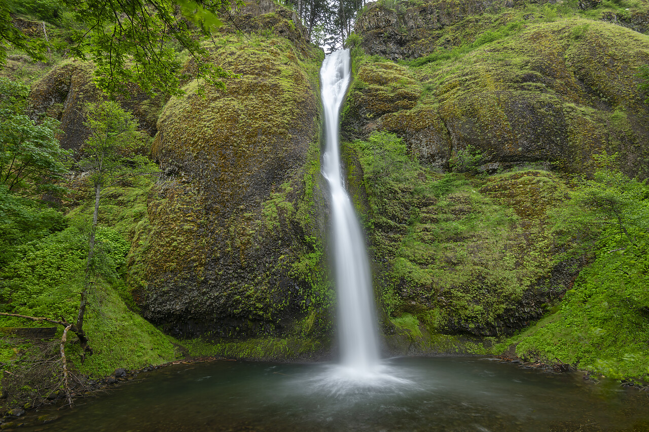 #240265-1 - Horsetail Falls, Columbia River Gorge, Oregon, USA