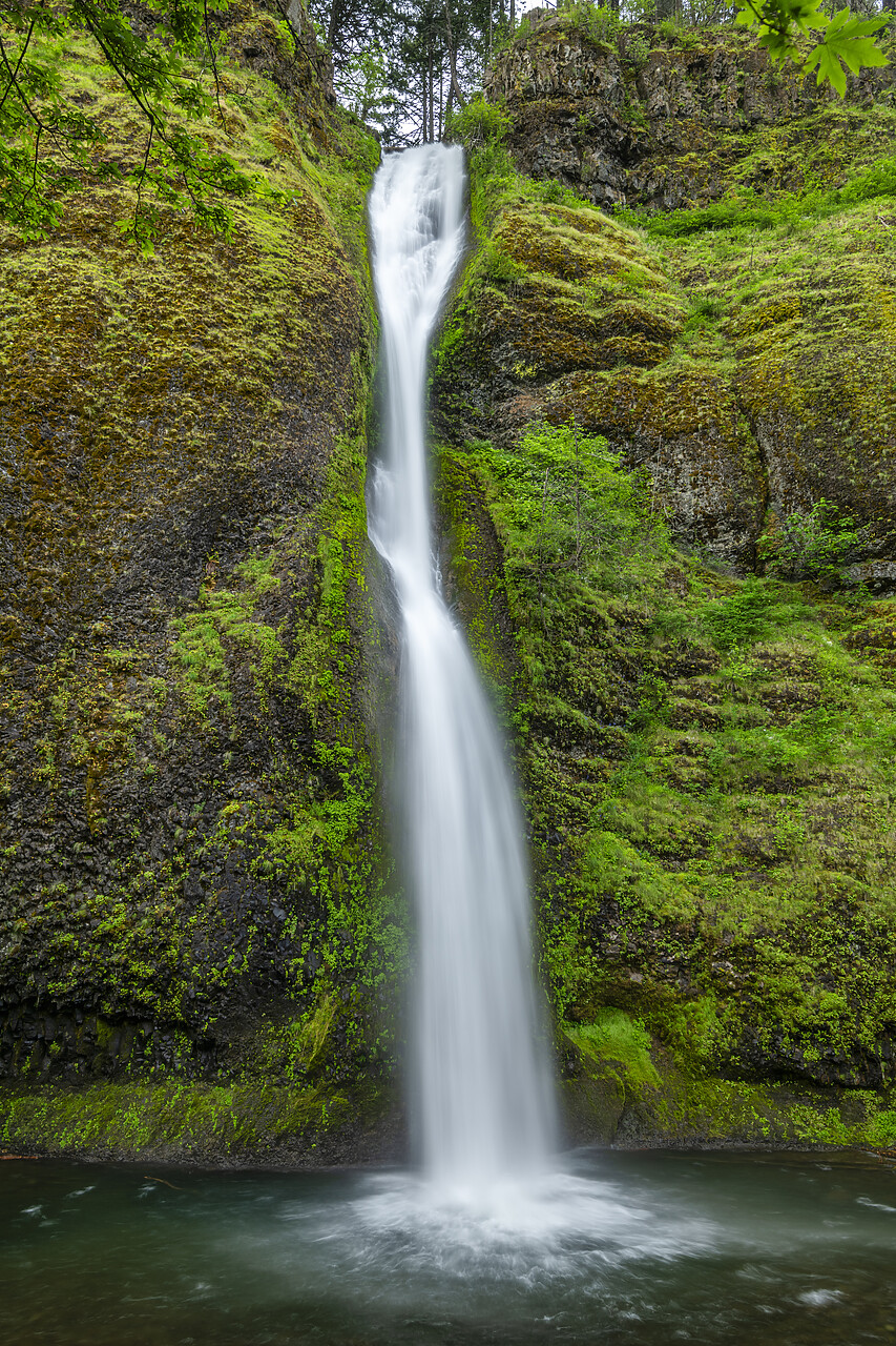 #240265-2 - Horsetail Falls, Columbia River Gorge, Oregon, USA