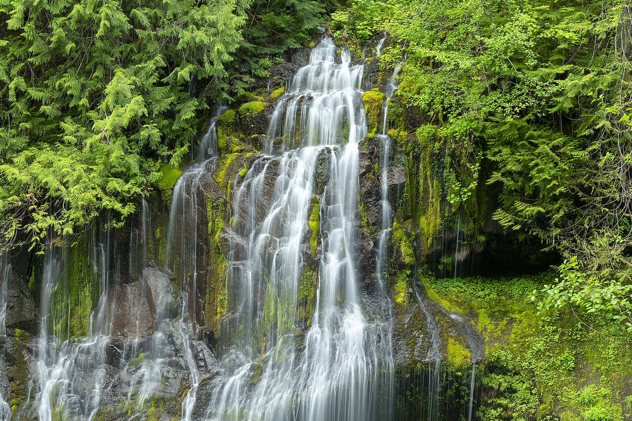 #240267-1 - Panther Creek Falls, Washington, USA