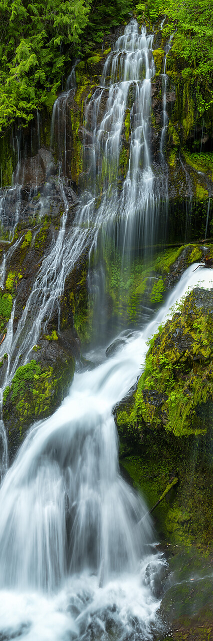 #240268-1 - Panther Creek Falls, Washington, USA